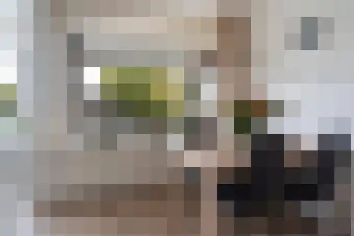 Prof. dr. J. Tinbergenweg 18 De Bilt thumbnail 12