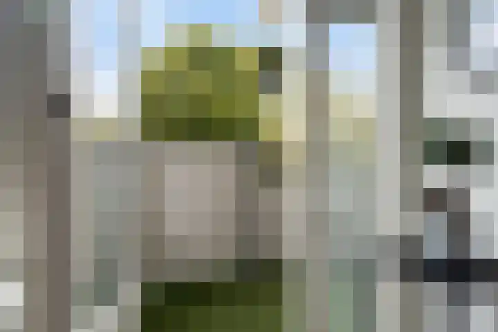 Prof. dr. J. Tinbergenweg 18 De Bilt thumbnail 13