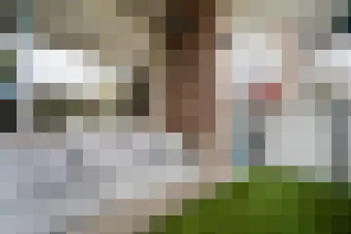 Prof. dr. J. Tinbergenweg 18 De Bilt thumbnail 14