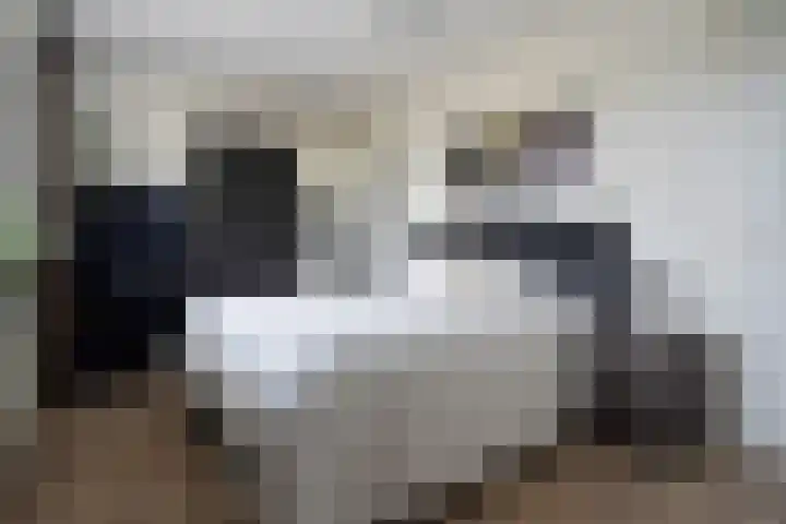Prof. dr. J. Tinbergenweg 18 De Bilt thumbnail 18