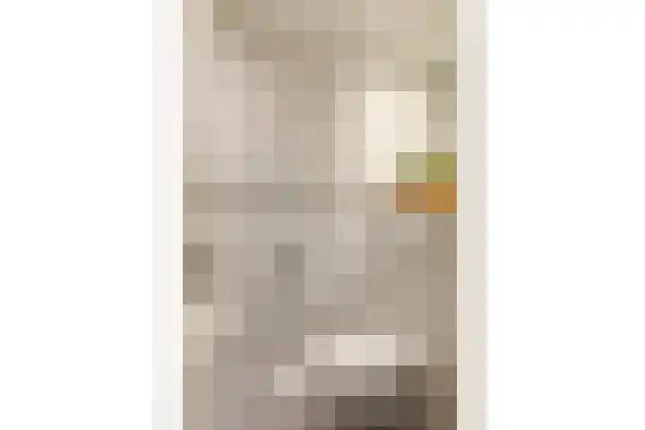 Prof. dr. J. Tinbergenweg 18 De Bilt thumbnail 22