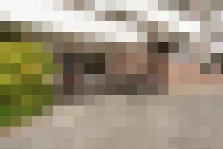 Prof. dr. J. Tinbergenweg 18 De Bilt thumbnail 26
