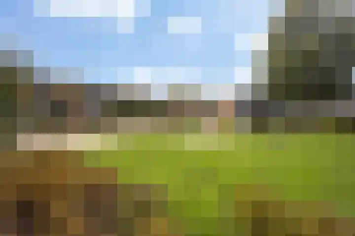 Prof. dr. J. Tinbergenweg 18 De Bilt thumbnail 30