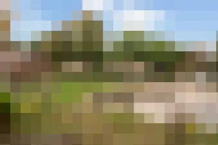 Prof. dr. J. Tinbergenweg 18 De Bilt thumbnail 32