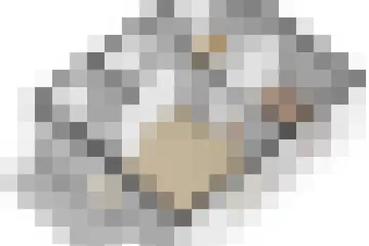 Prof. dr. J. Tinbergenweg 2 De Bilt thumbnail 22