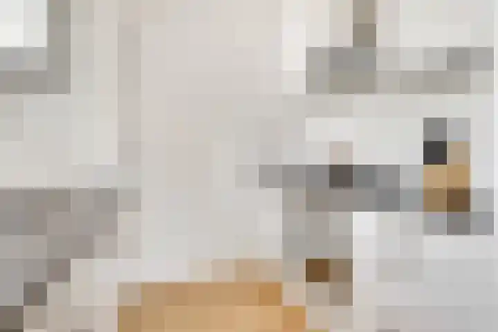 Prof. dr. J. Tinbergenweg 40 De Bilt thumbnail 10