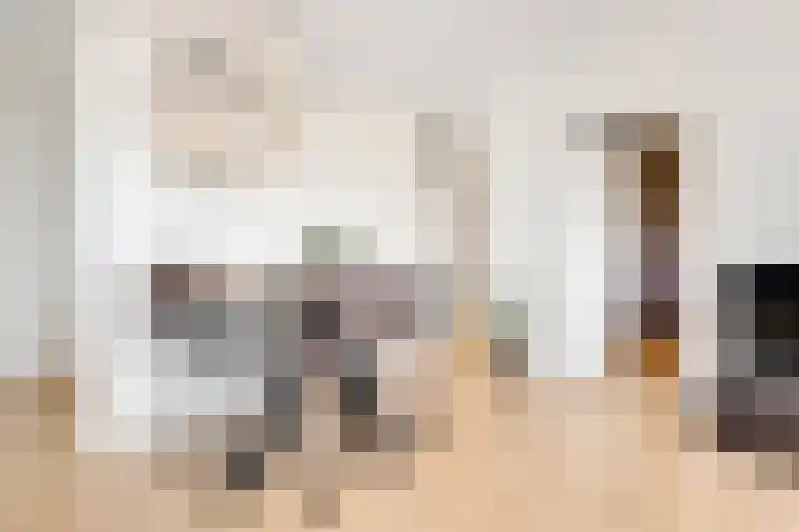 Prof. dr. J. Tinbergenweg 40 De Bilt thumbnail 12