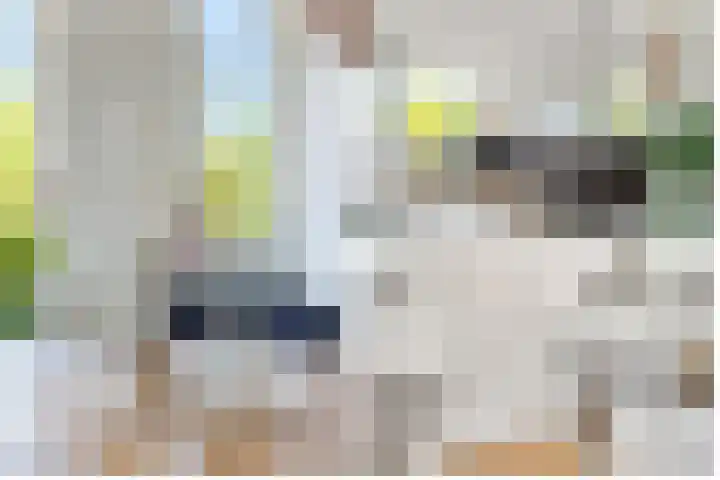 Prof. dr. J. Tinbergenweg 40 De Bilt thumbnail 19