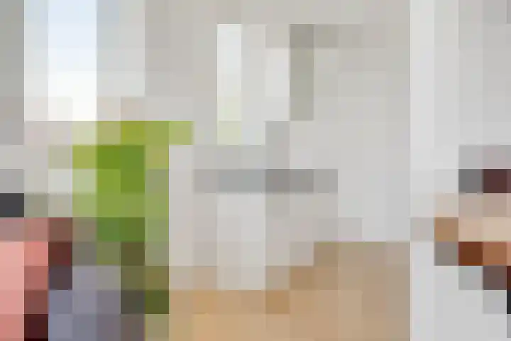 Prof. dr. J. Tinbergenweg 40 De Bilt thumbnail 9