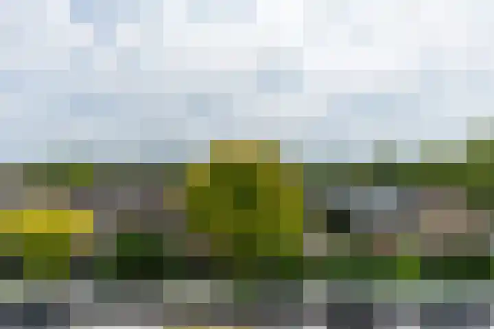 Prof. dr. J. Tinbergenweg 52 De Bilt thumbnail 19