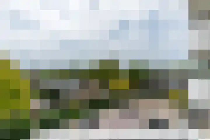 Prof. dr. J. Tinbergenweg 52 De Bilt thumbnail 20