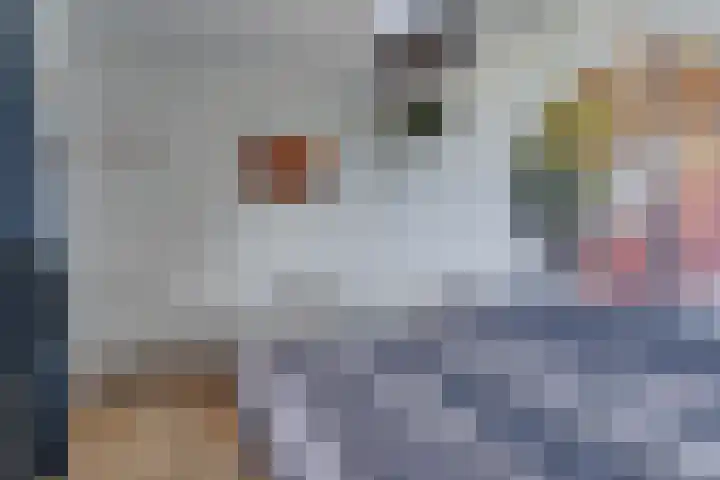 Prof. dr. J. Tinbergenweg 52 De Bilt thumbnail 24