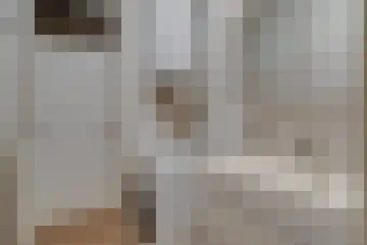 Prof. dr. J. Tinbergenweg 52 De Bilt thumbnail 27