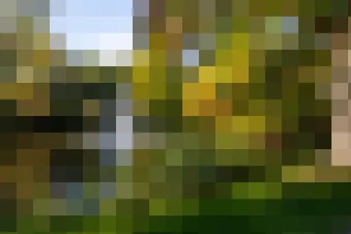 Prof. dr. J. Tinbergenweg 52 De Bilt thumbnail 33