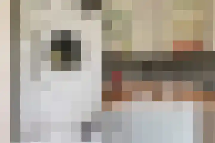 Prof. dr. J. Tinbergenweg 9 De Bilt thumbnail 15
