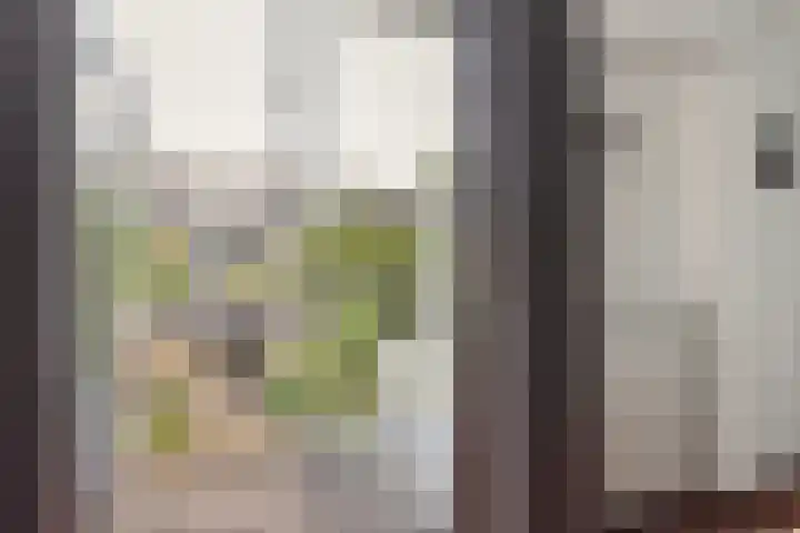 Prof. dr. J. Tinbergenweg 9 De Bilt thumbnail 22