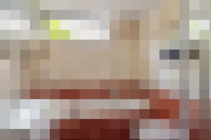 Prof. dr. J. Tinbergenweg 9 De Bilt thumbnail 23