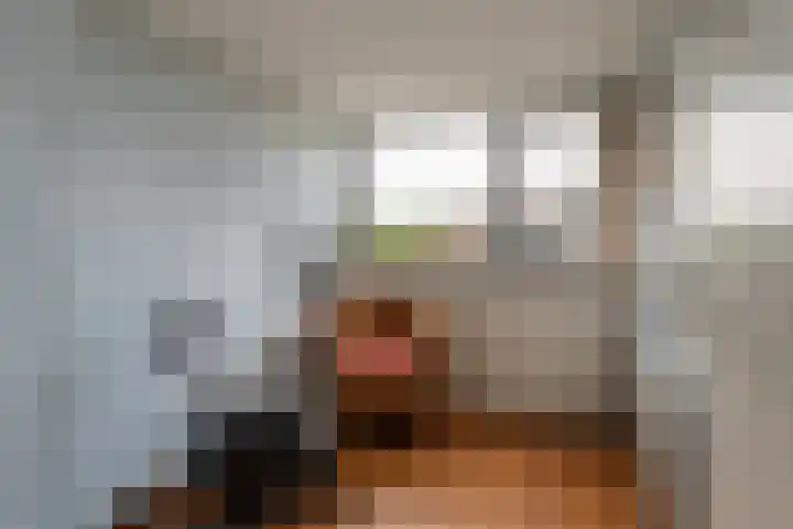 Prof. dr. J. Tinbergenweg 9 De Bilt thumbnail 27