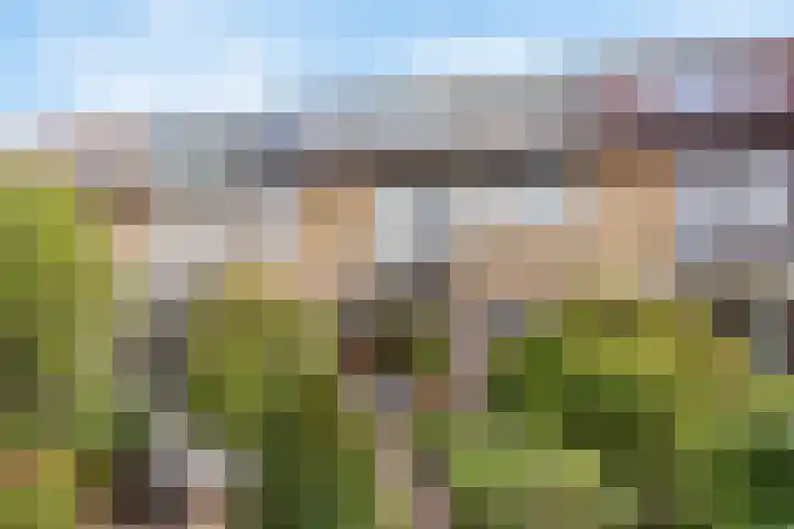 Prof. dr. J. Tinbergenweg 9 De Bilt thumbnail 31