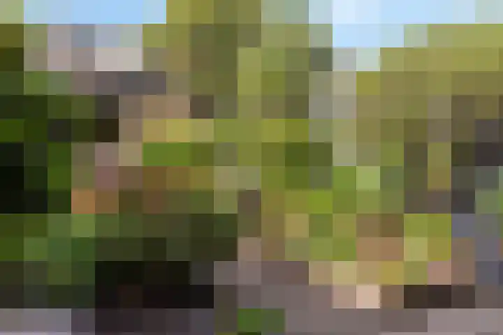 Prof. dr. J. Tinbergenweg 9 De Bilt thumbnail 33