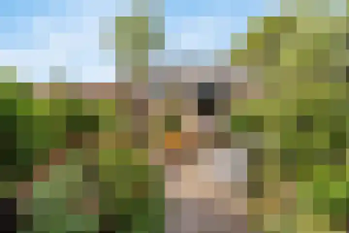 Prof. dr. J. Tinbergenweg 9 De Bilt thumbnail 34