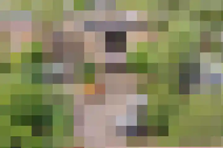 Prof. dr. J. Tinbergenweg 9 De Bilt thumbnail 35