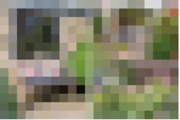 Prof. dr. J. Tinbergenweg 9 De Bilt thumbnail 36