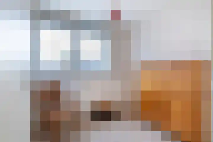 Prof. Dr. Kramerslaan 14 Nieuwegein thumbnail 24