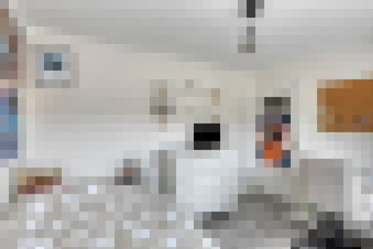 Prof. Dr. Kramerslaan 5 Nieuwegein thumbnail 17