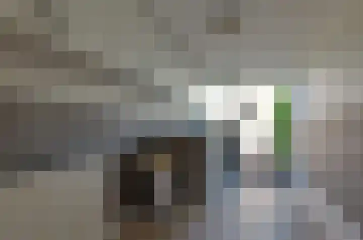 Prof. Dr. Obbinkstraat 14 Hoogersmilde thumbnail 15
