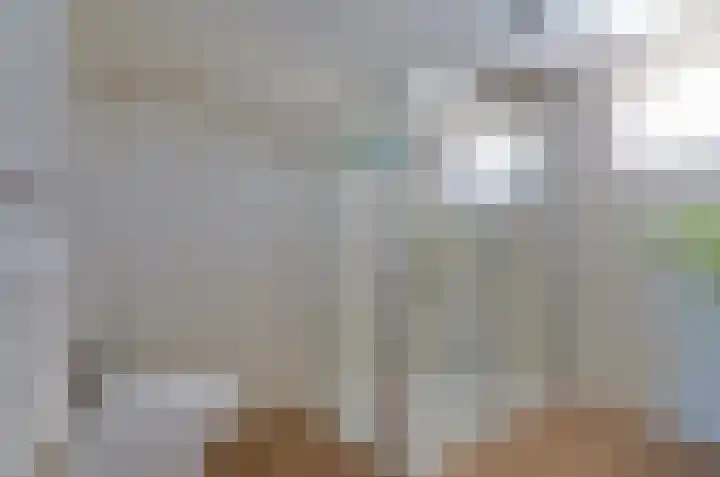 Prof. Dr. Obbinkstraat 14 Hoogersmilde thumbnail 28