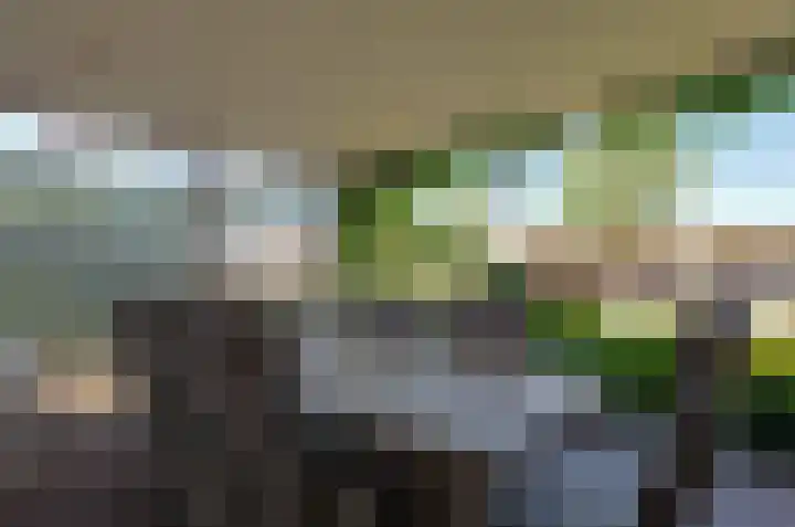 Prof. Dr. Obbinkstraat 14 Hoogersmilde thumbnail 31