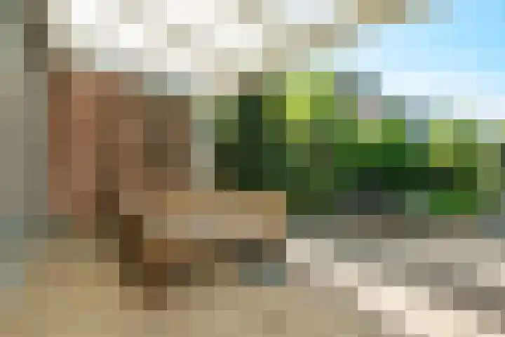 Prof. Dr. Ornsteinlaan 17 Nieuwegein thumbnail 19