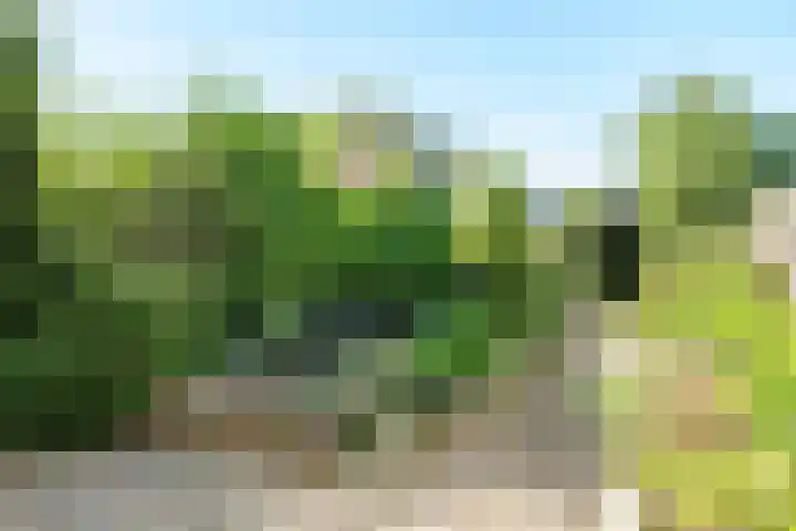 Prof. Dr. Ornsteinlaan 17 Nieuwegein thumbnail 21
