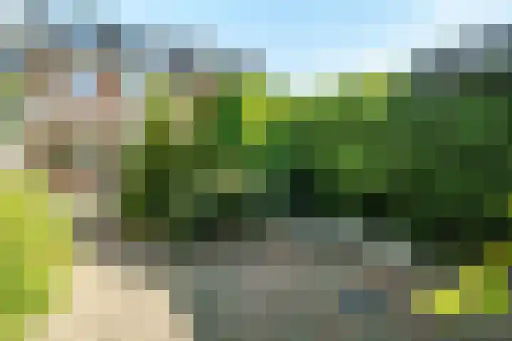 Prof. Dr. Ornsteinlaan 17 Nieuwegein thumbnail 23