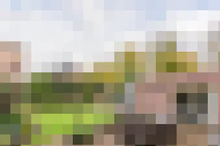 Prof. dr. P.J. Crutzenlaan 22 De Bilt thumbnail 10