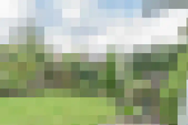 Prof. dr. P.J. Crutzenlaan 22 De Bilt thumbnail 13