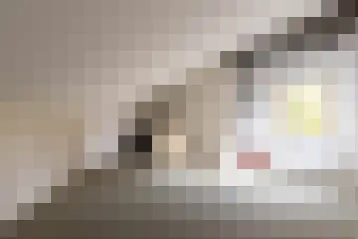 Prof. dr. P.J. Crutzenlaan 22 De Bilt thumbnail 32