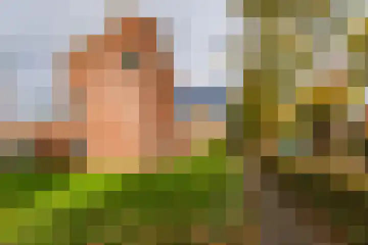 Prof. dr. P.J. Crutzenlaan 22 De Bilt thumbnail 4