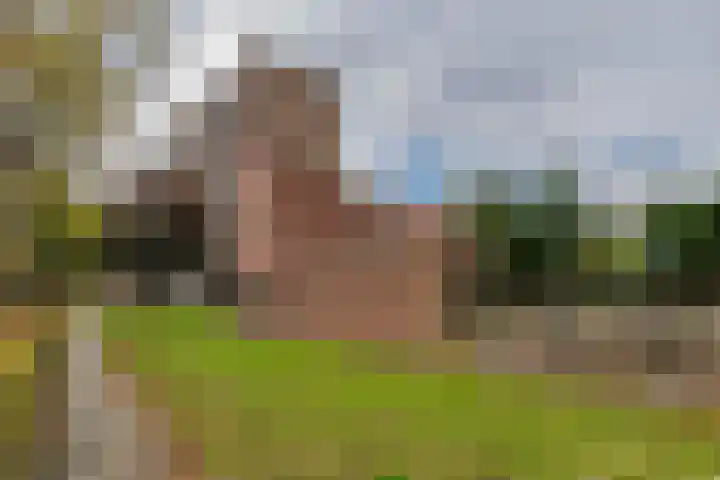 Prof. dr. P.J. Crutzenlaan 22 De Bilt thumbnail 5