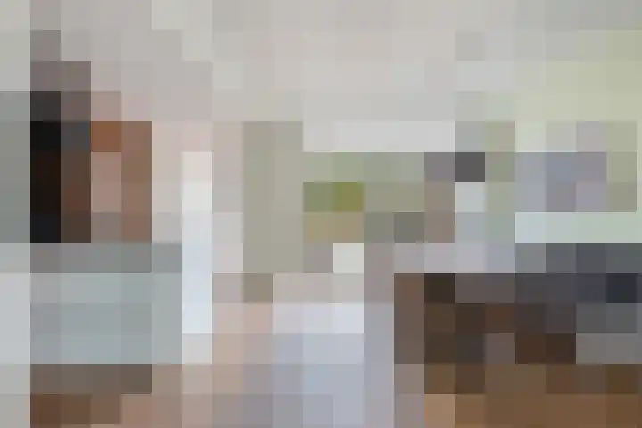 Prof. dr. T.M.C. Asserweg 23 De Bilt thumbnail 10