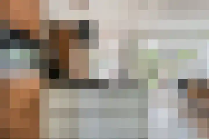 Prof. dr. T.M.C. Asserweg 23 De Bilt thumbnail 12