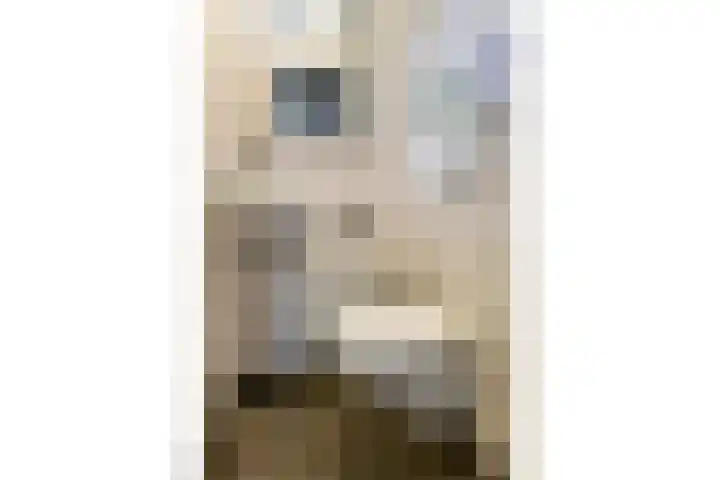 Prof. dr. T.M.C. Asserweg 23 De Bilt thumbnail 19