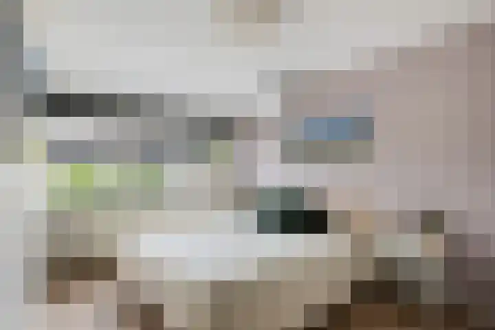 Prof. dr. T.M.C. Asserweg 23 De Bilt thumbnail 23