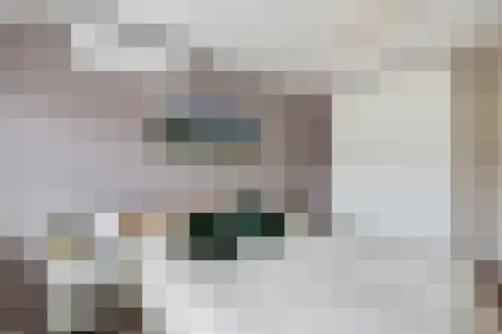 Prof. dr. T.M.C. Asserweg 23 De Bilt thumbnail 24