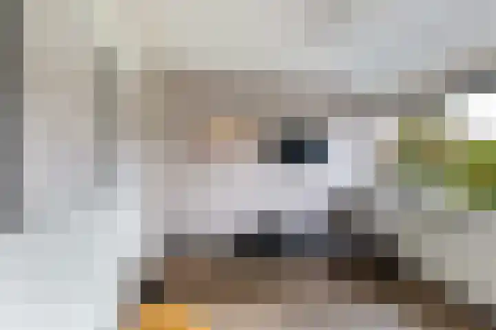 Prof. dr. T.M.C. Asserweg 23 De Bilt thumbnail 26