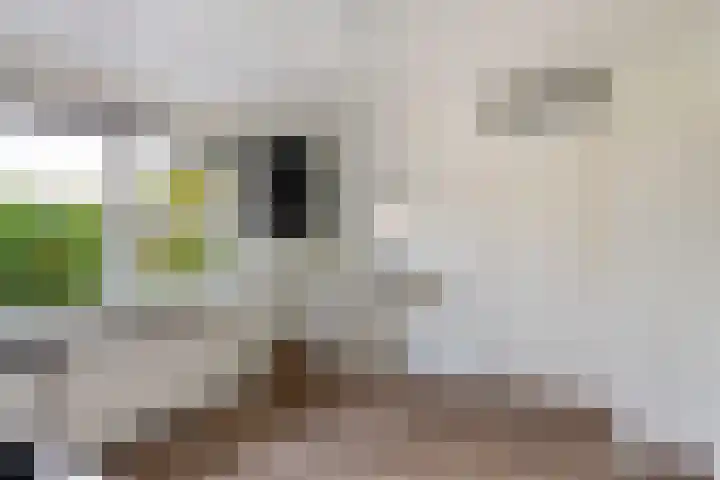 Prof. dr. T.M.C. Asserweg 23 De Bilt thumbnail 27