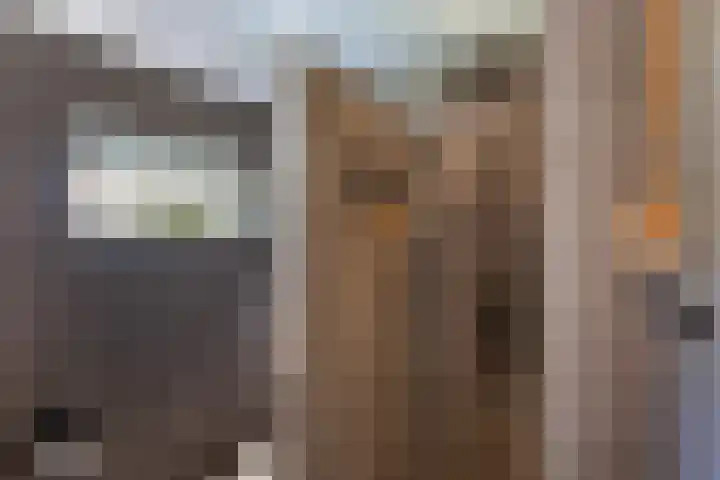 Prof. dr. T.M.C. Asserweg 23 De Bilt thumbnail 29