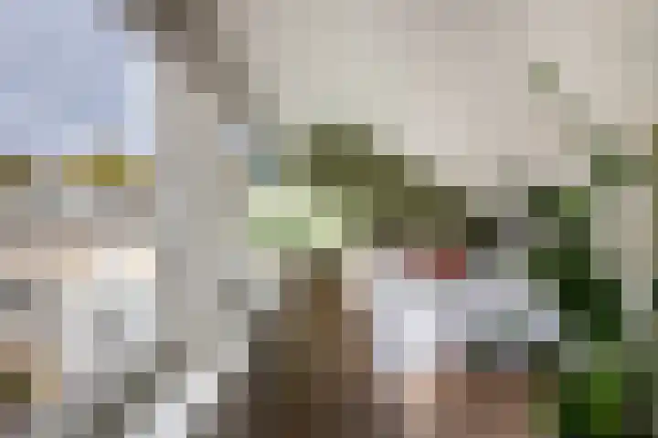Prof. dr. T.M.C. Asserweg 23 De Bilt thumbnail 32