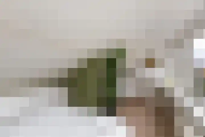 Prof. dr. T.M.C. Asserweg 23 De Bilt thumbnail 33
